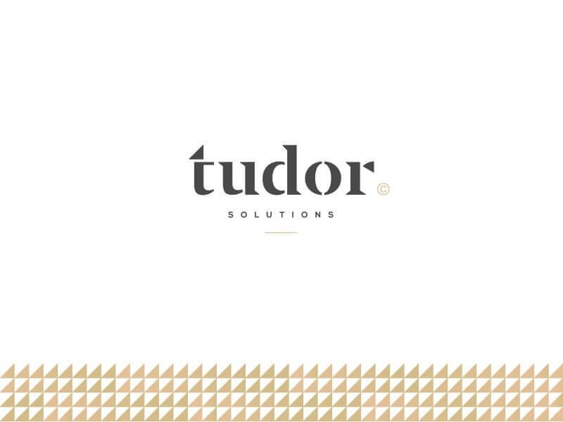 Andrea Binski, UAE - Tudor Solutions Logo | Creative Logo Designers to Hire Online in 2023