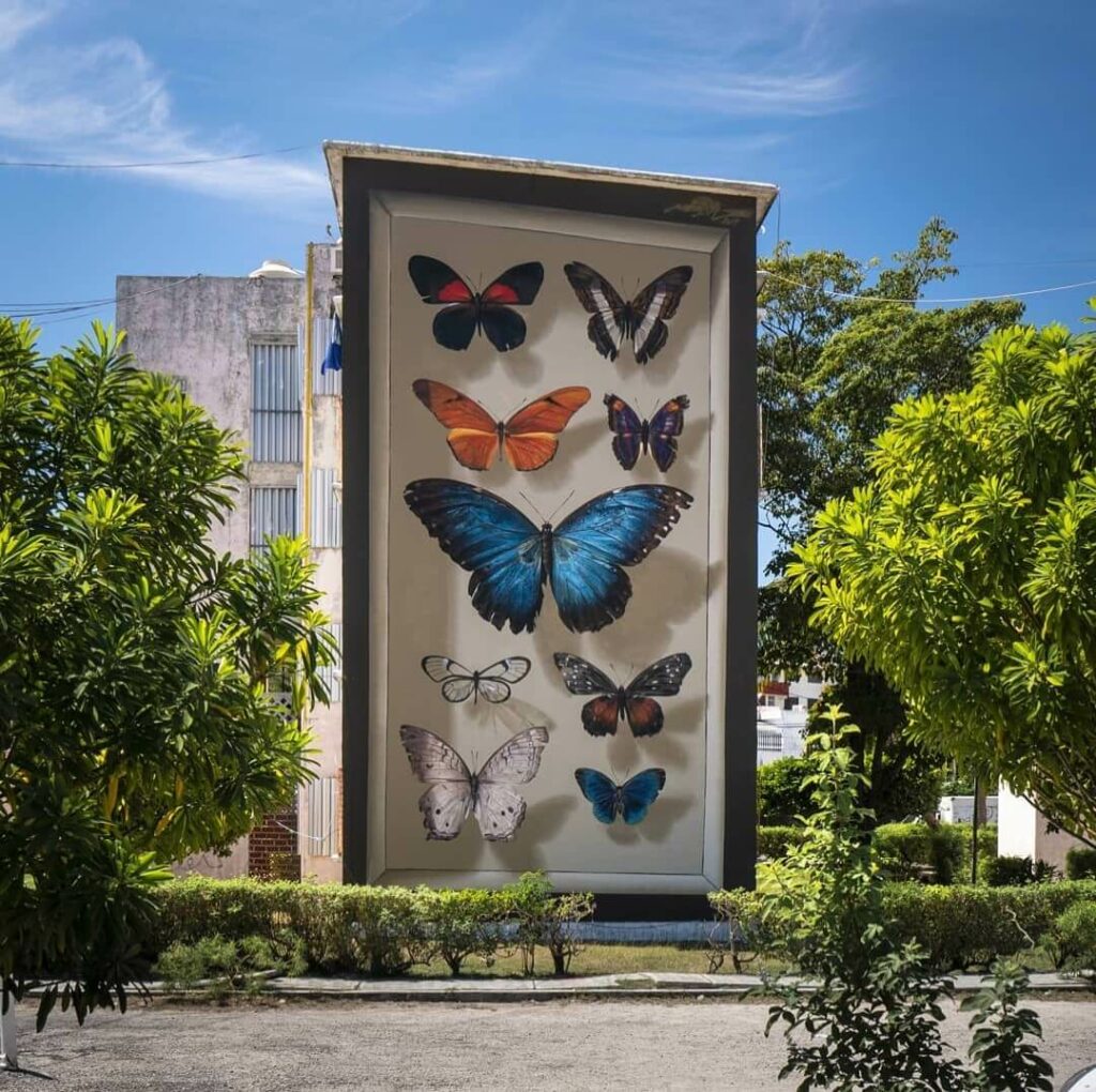 Mariposas del Yucatan , Cancun, Mexico | Butterfly mural by street artist Mantra