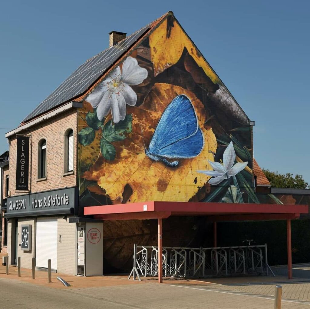 Nature morte de Lysandra, Gullegem, Belgium | Butterfly mural by street artist Mantra