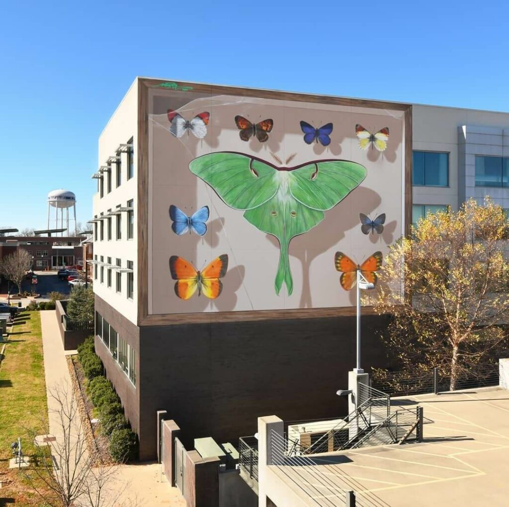 The 21st Collection Bentonville, AR, US | Butterfly mural by street artist Mantra