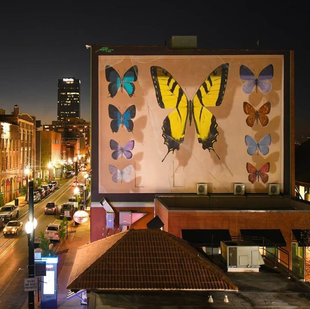 The Line Little Rock, AR, USA | Butterfly mural by street artist Mantra