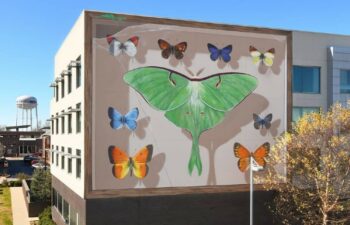 Street artist Mantra paints imposing butterfly murals on buildings around the world