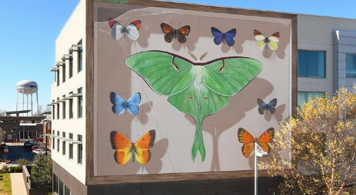 Street artist Mantra paints imposing butterfly murals on buildings around the world