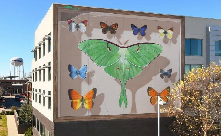 Street artist paints imposing butterfly murals on buildings around the world