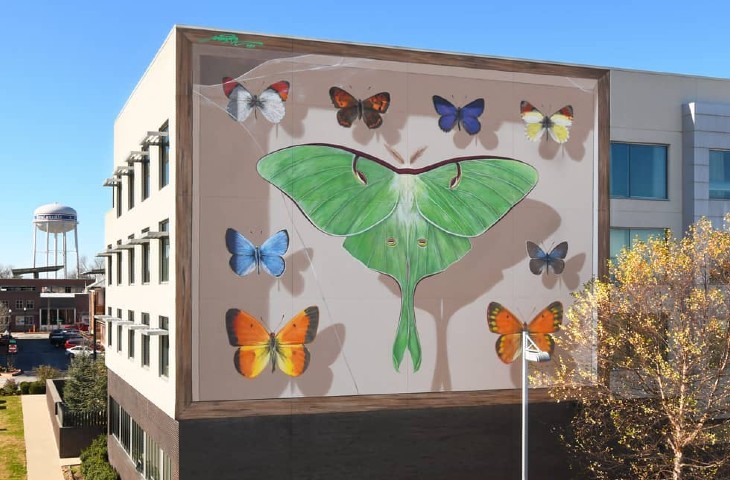 Street artist Mantra paints imposing butterfly murals on buildings around the world