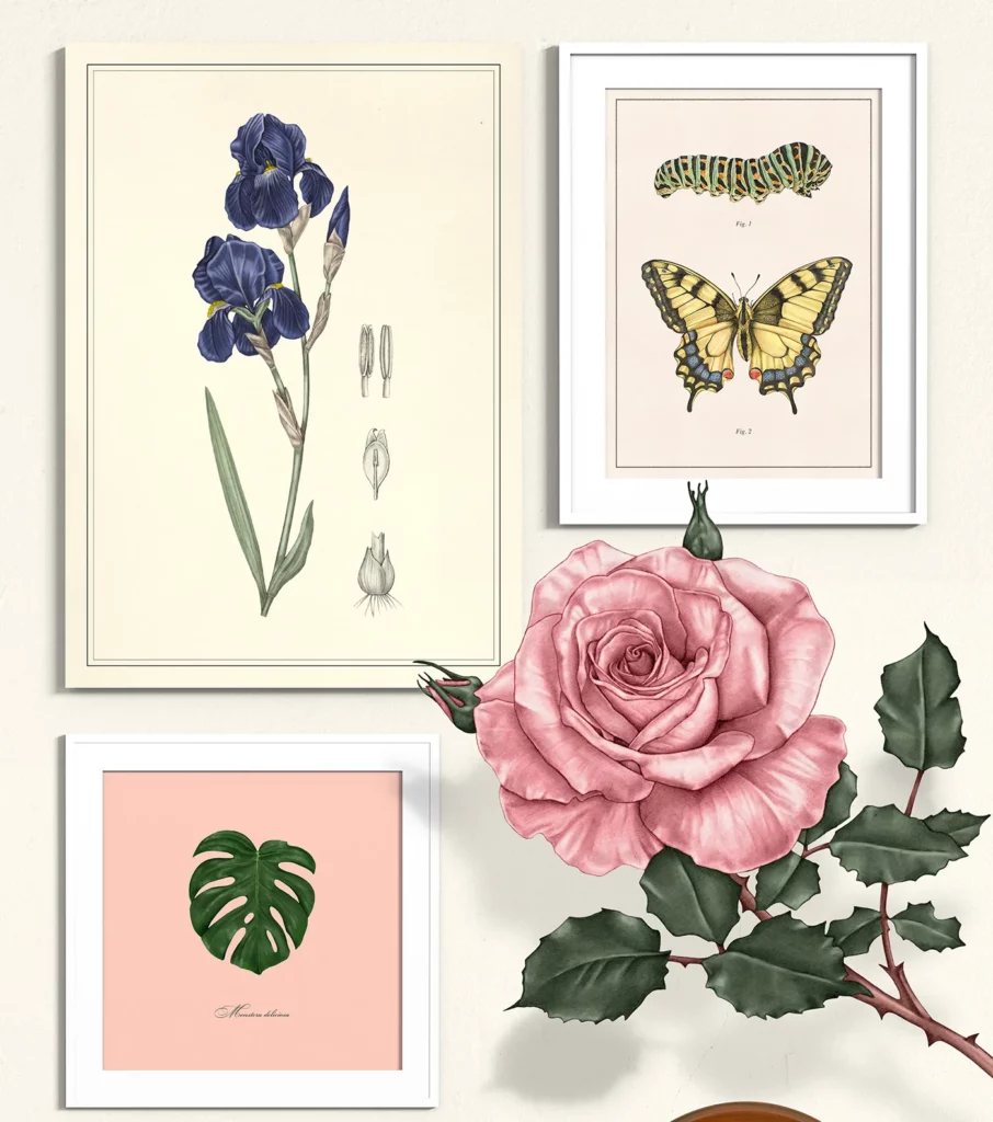 Giulia Borsi | Botanical Artists Open for Commissions