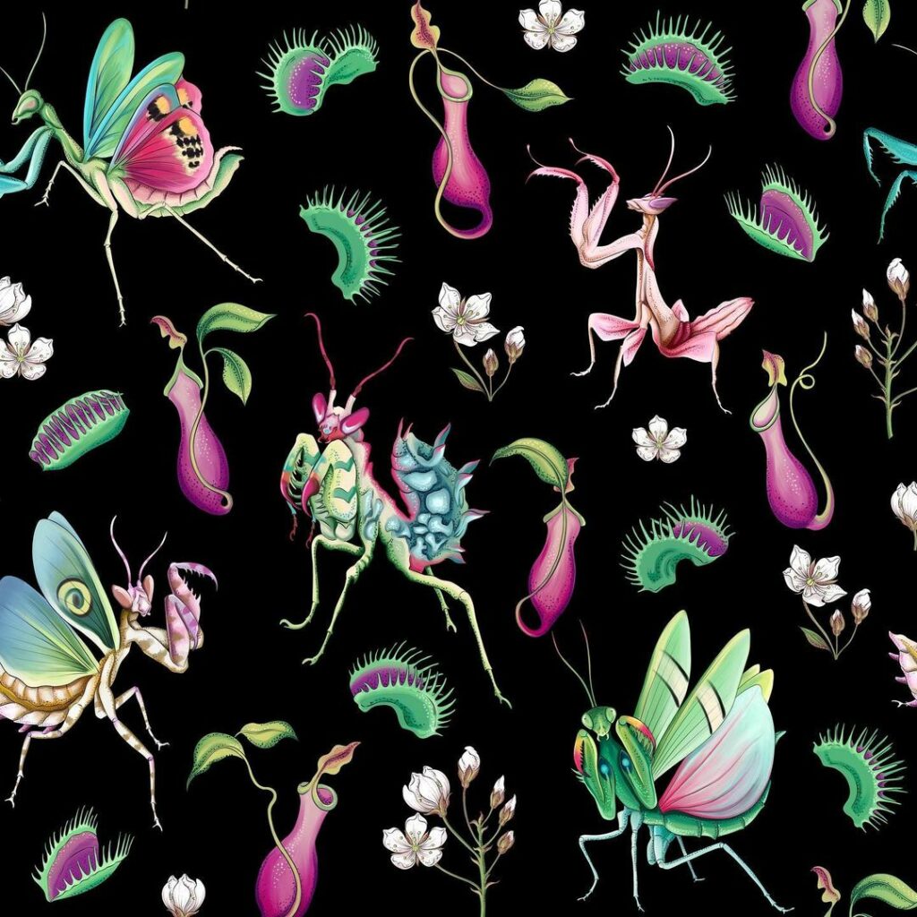 Ola Maslik | Botanical Artists Open for Commissions