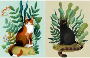 cat illustrations